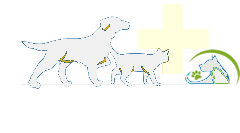 Clinica veterinara Falticeni